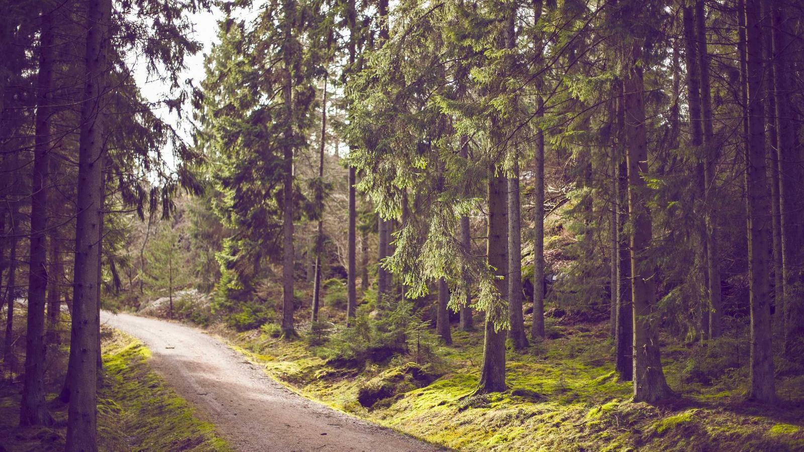 Adaptation vs. Mitigation: Trading Slogans for Survival